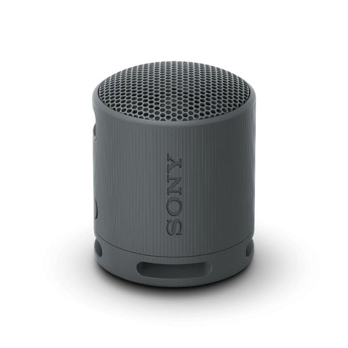 Sony SRS-XB100 | Portable speaker - Wireless - Bluetooth - IP67 - Black