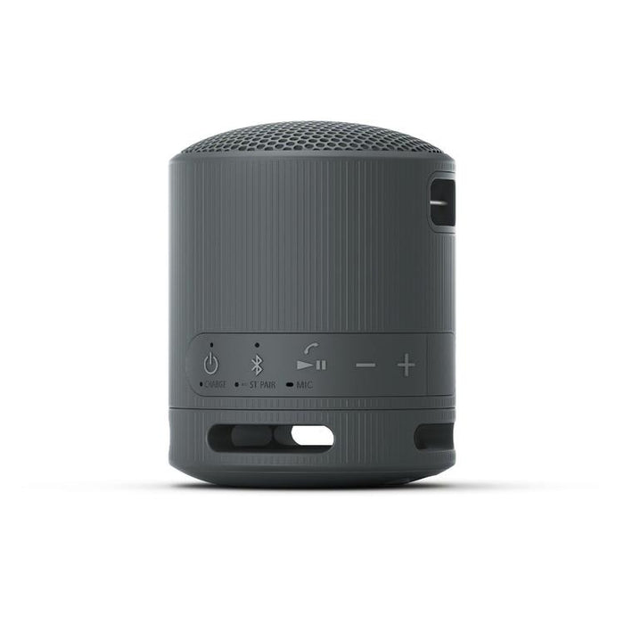 Sony SRS-XB100 | Portable speaker - Wireless - Bluetooth - IP67 - Black-SONXPLUS.com