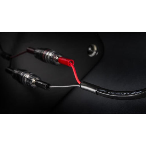 Audioquest Q2 | Speaker Cable - Long Grain Copper (LGC) inner conductor - 10 Ft-SONXPLUS.com