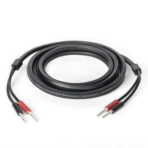 Audioquest Q2 | Speaker Cable - Long Grain Copper (LGC) inner conductor - 10 Ft-SONXPLUS.com