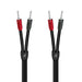 Audioquest Rocket 22 | Speaker Cable - 10 feet - 2x Banana - Silver - Pair-SONXPLUS.com