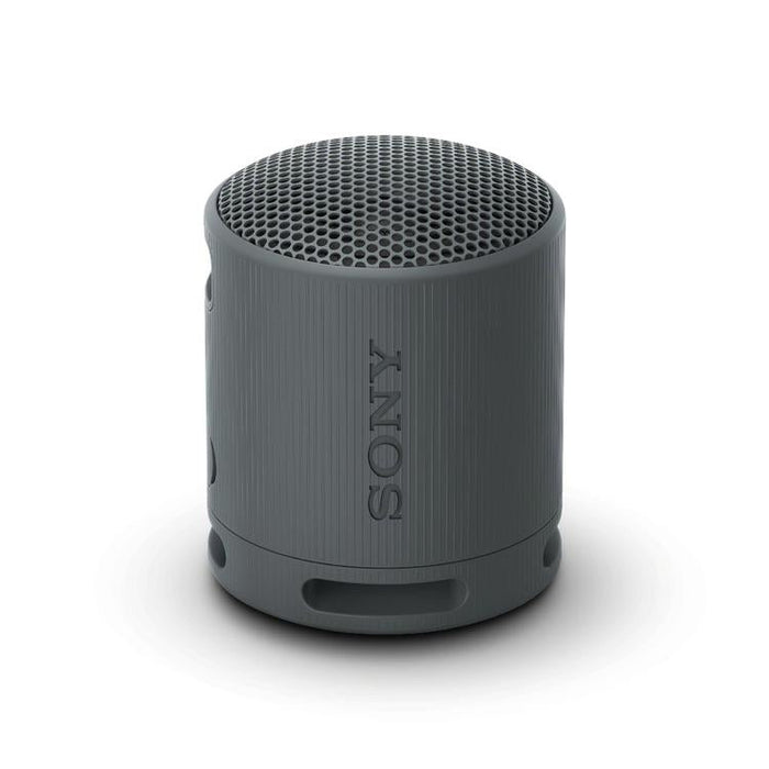 Sony SRS-XB100 | Haut-parleur portatif - Sans fil - Bluetooth - IP67 - Noir-SONXPLUS.com