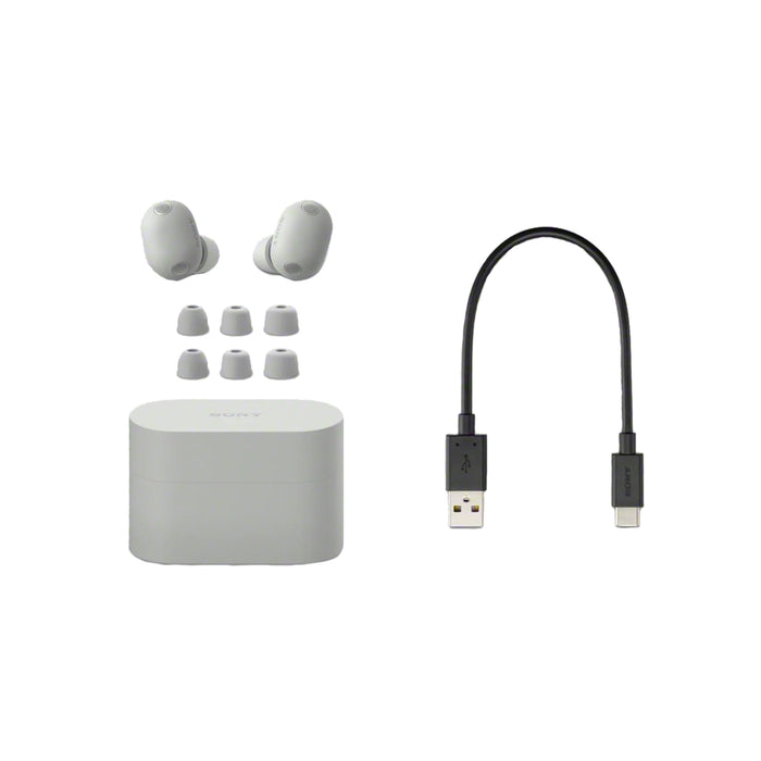 Sony WF-1000XM6 | In-ear headphones - Up to 24 hours of battery life - Platinum Silver | 04 | Sonxplus