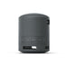 Sony SRS-XB100 | Portable speaker - Wireless - Bluetooth - IP67 - Black-SONXPLUS.com