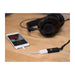 Audioquest DragonFly | Amplificateur DAC/Casque USB 2.0 - Noir-SONXPLUS.com