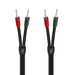 Audioquest Rocket 11 | Câble pour Haut-parleurs - 8 pieds - BFAS-Sonxplus.com 