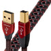 Audioquest Cinnamon | Câble USB A vers USB B - Version USB 2.0 - Conducteur en Argent massif à 1,25% - 0.75 Mètres-Sonxplus.com